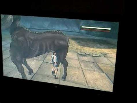 lara croft horse porn